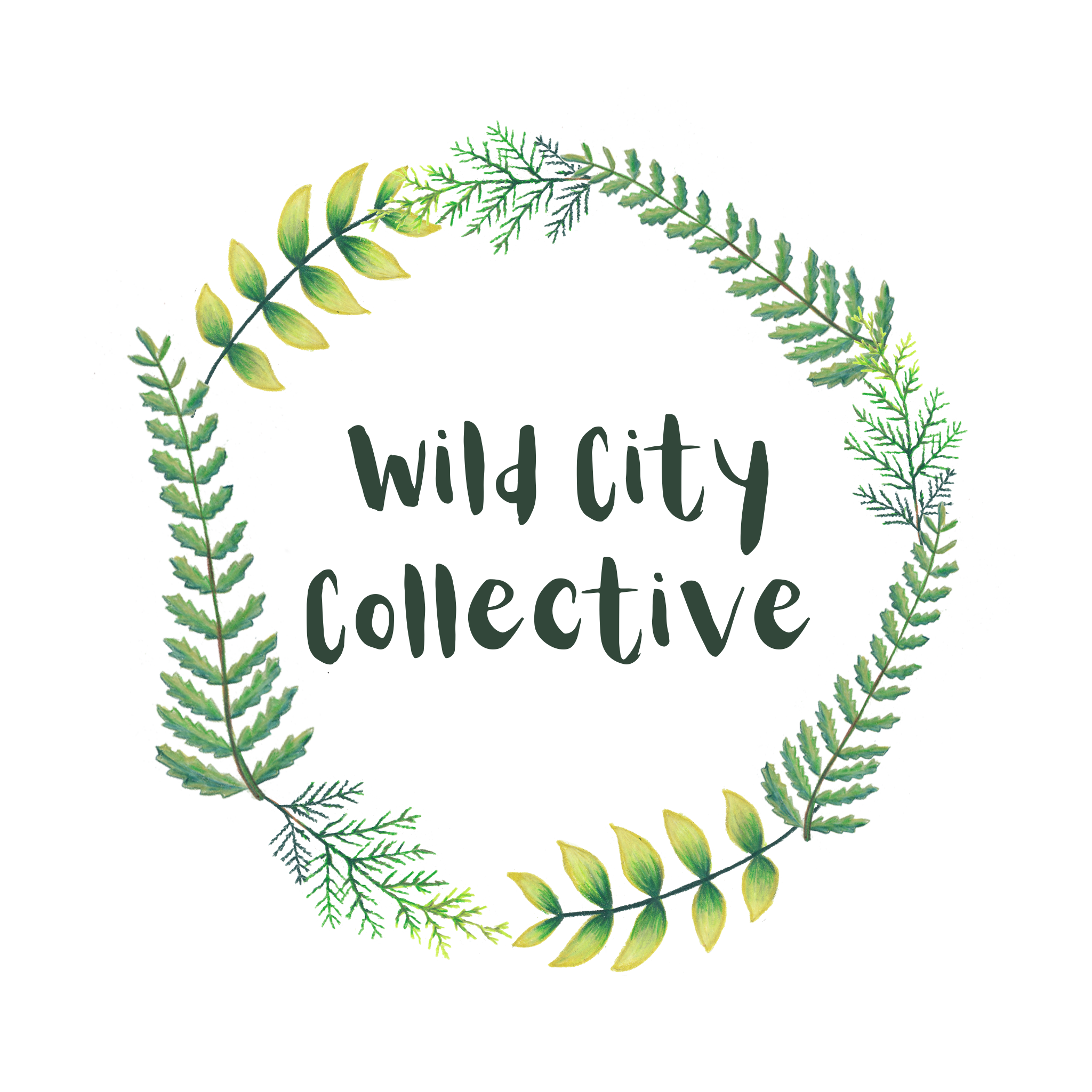 WILD CITY LOGO TRS 2024